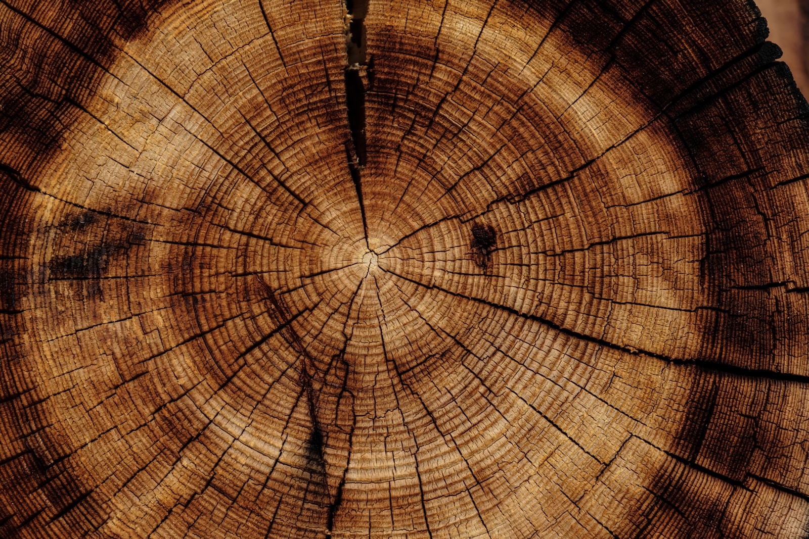 3D Printing Wood: Everything You Need To Know 3d printing wood