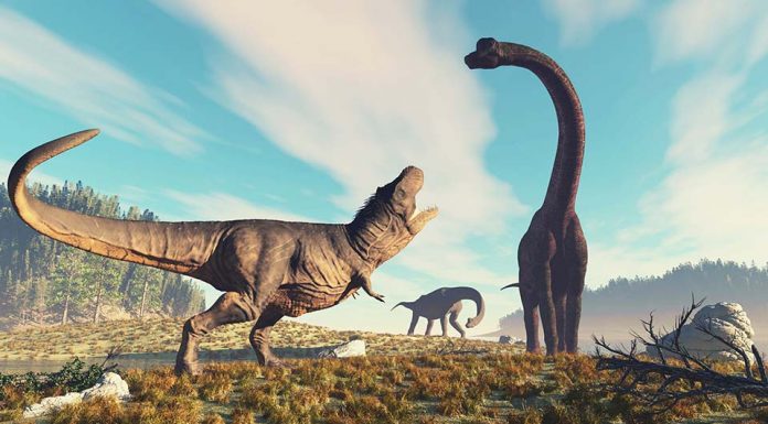 13+ Free 3D Printed Dinosaur Project Plans 3D Printed Dinosaur