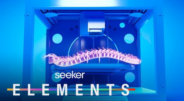 3D Printed Bones: Everything You Need To Know