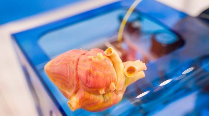 What Was the First Thing 3D Printed? This!